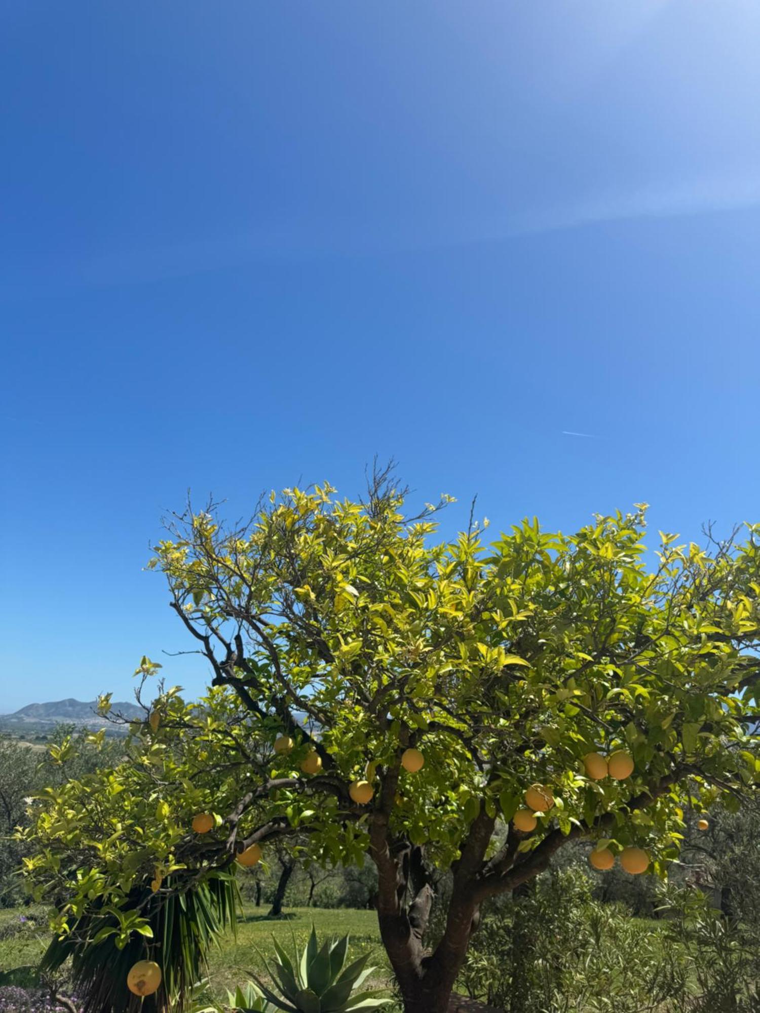 Santa Teresa Bed & Breakfast Andalusien Pizarra Εξωτερικό φωτογραφία