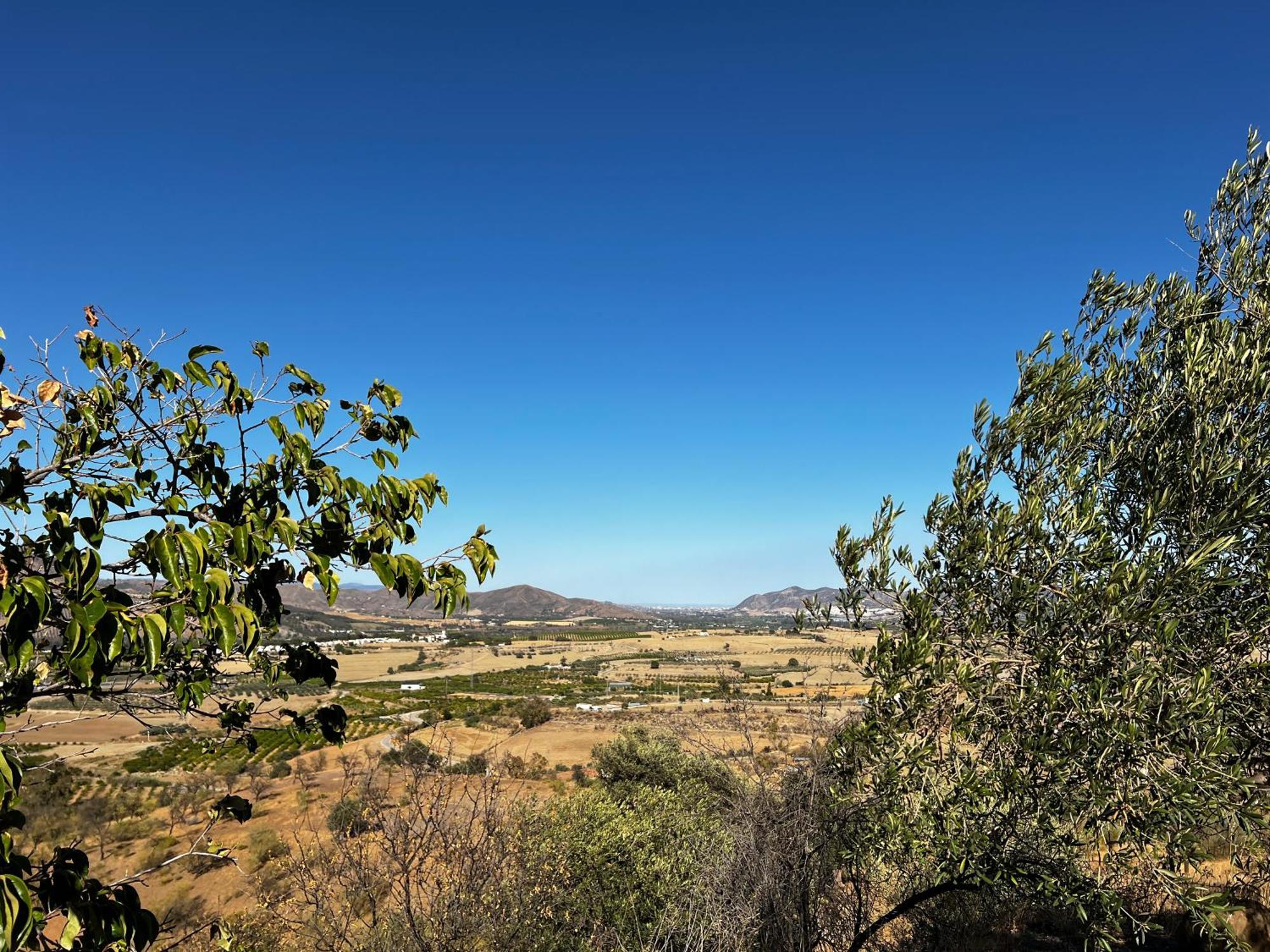 Santa Teresa Bed & Breakfast Andalusien Pizarra Εξωτερικό φωτογραφία